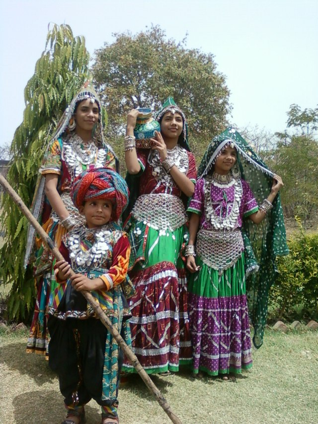 Historic structures inside Chittorgarh Fort
